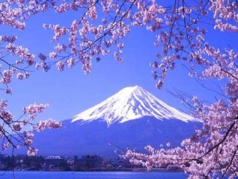 日本:春回大地的粉樱之约 _天气资讯_天气