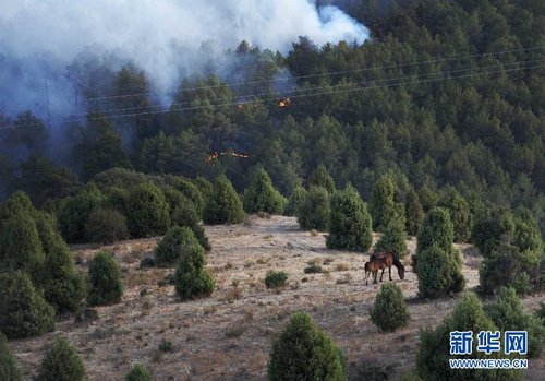 西班牙首都附近多处发生森林火灾_国外天气_