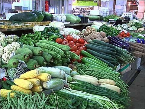 受前期台风影响菜价略涨 福州市保障蔬菜供应