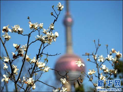 上海26日正式入春 气温起伏周六将降8℃_预报