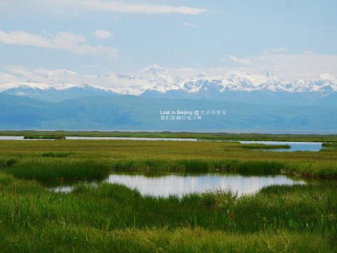 人口容量最大的平原_理论计算巴西的人口容量大于中国,其主要原因是什么(3)