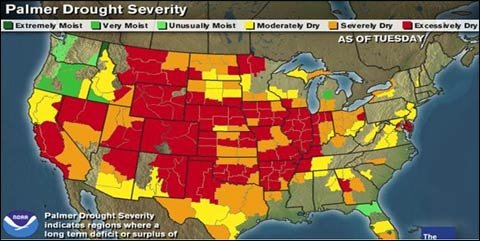 美国干旱情势加剧 成为有记录来第六大干旱