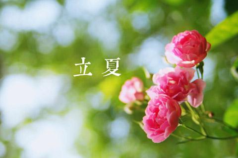 立夏养生说“四防”（图片来源于百度搜索）