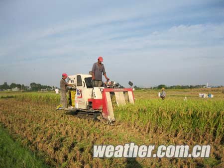 贵港天气晴热 有利于夏收_广西天气_天气
