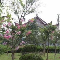 2013年岁末冬至 置业安家暖人心