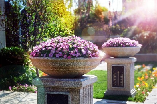 威海首个会呼吸的阳光车库 抢车位,你准备好了