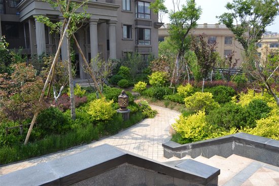 360°评测之蔚海新天地 50万㎡欧式新古典建