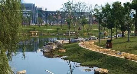 温州拟规定新建居住区内绿地面积占比不低于3