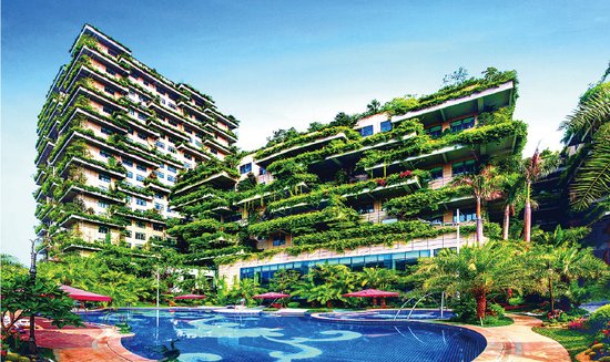 碧桂园森林城市项目杭州首发 且看未来城市新