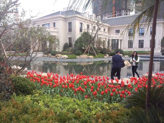 海德公园30万株郁金香绽放 把库肯霍夫公园献