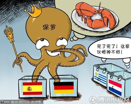 漫画:章鱼保罗预测西班牙夺冠德国季军(2)_20