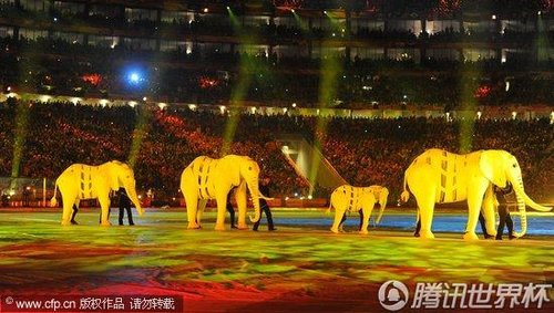 图文:荷兰VS西班牙 非洲大象环绕球场_世界杯