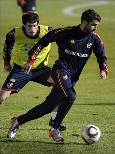 图文:西班牙备战首战 法布雷加斯动作潇洒_20