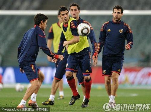 图文:西班牙队训练备战 托雷斯狂练射门(7)