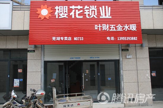 7616716.jpg