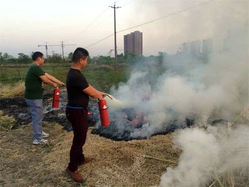 芜湖弋江区马塘街道打响 三线三边 无烟保卫战