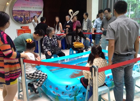 保利达钓金鱼赢螃蟹火爆结束