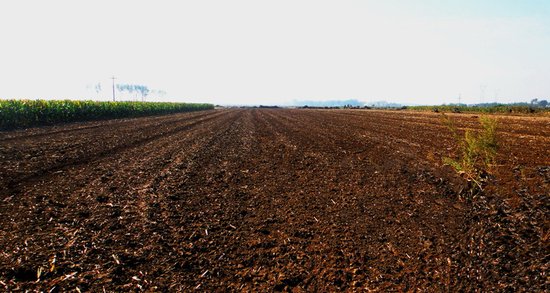 2014年土地财政创新高:地方卖地收入超四万