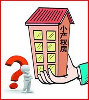 人大代表谈小产权房转正:创造条件合法入市_频