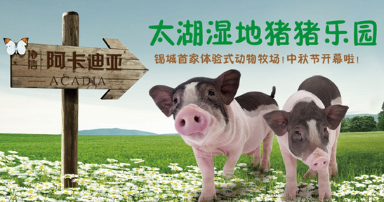 最后一栋高层中秋开盘 50套钜惠房源55万起 中秋开盘即将推出的是阿卡迪亚最后一栋高层,共50套,户型面积为78㎡、89㎡及104㎡,其中104㎡的户型可利用面积达到135㎡。此次开盘价格优惠,两房仅需55万起。 协信阿卡迪亚位于太湖新城新核心区域,这里是传感网、物联网等创新型企业的聚集地,同时拥有太湖河岸线优质湿地资源,项目向南100米处就是风光旖旎的是太湖,一路之隔有太湖湿地公园。在这里,你能感受到太湖水系资源给生活带来的居住体验和