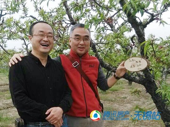 来田园东方旅游度假区认养桃树吧_频道-无锡