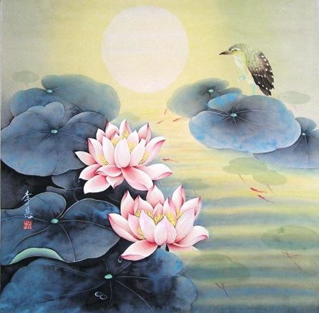 在弘阳三万顷邂逅莲花与佛的禅意之境_频道-无