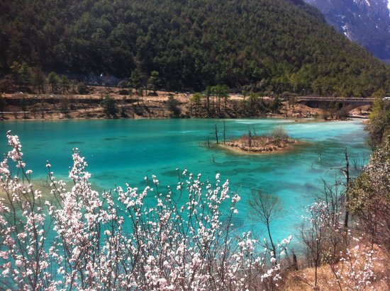 云南旅游净利润同比下降近两成:在逆境中求生