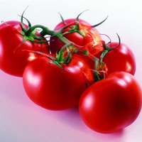 夏天吃什么菜好呢窍门