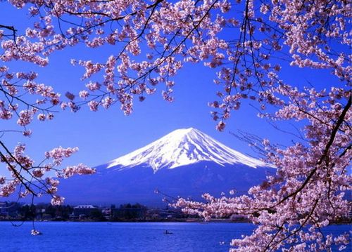 今起陕西游客可赴日本自由行_陕西旅游资讯_