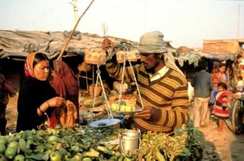 明星带你去旅游 蔡健雅:跟着感觉走(组图)_旅游