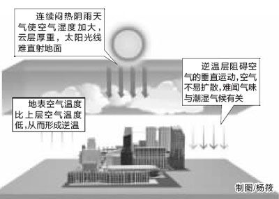 专家绘制的西安怪味生产图