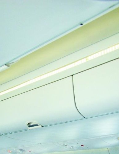 世界最牛 苍蝇:坐飞机从延安一直 飞 到西安