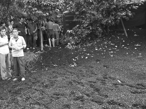 司机醉酒撞6学生逃逸 肇事者1小时后投案自首