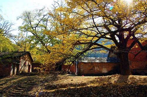 南方也有秋天——10个好玩人不多的地方_国内游_新闻_腾讯网