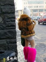 网友抓拍街上不怕冷<em>短裤女</em>_新闻<em>图片</em>_腾讯大