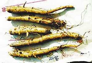 一女子网上直播自杀 网友彻夜不眠劝导救援