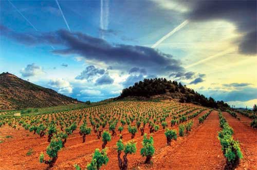 西班牙:葡萄酒世界的沉睡巨人(图)