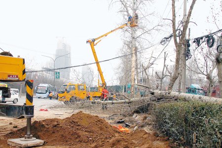 拉土车冲进绿化带 撞倒四棵树撒黄土一公里