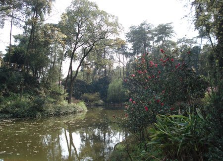 外地人来重庆十大必去景点