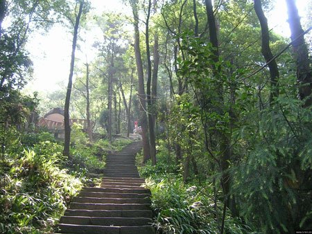外地人来重庆十大必去景点