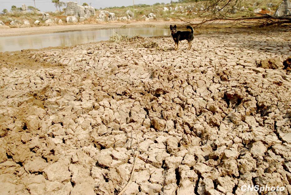 中国西南地区持续干旱2000多万人饮水困难