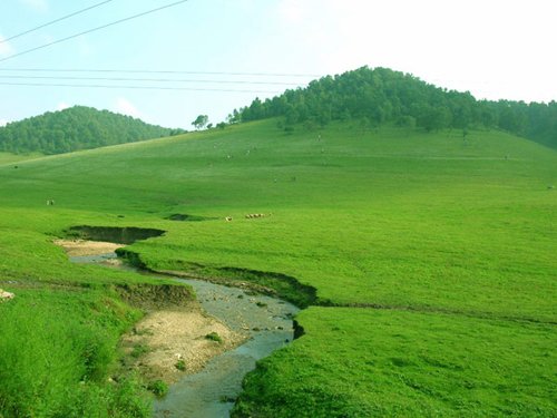 关山牧场:秦人的发祥地_文化关中
