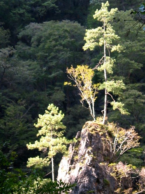 金丝峡旅游风景区