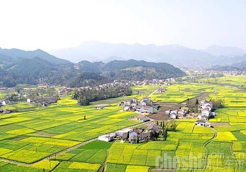 踏春之旅西安华兴雪佛兰车友陕南花海自驾游
