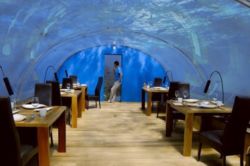 玻璃全景独一无二的马尔代夫海底餐厅组图