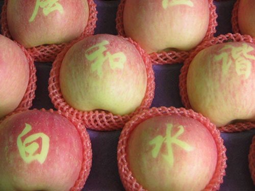 陕西著名十大土特产_网