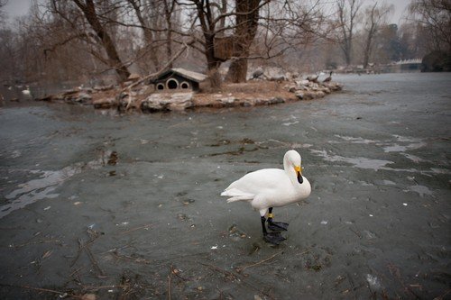 尼康广角新镜皇af-s尼克尔24mm\/f1.4g评测
