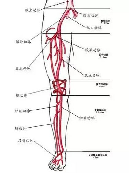秦知道-腾讯大秦网