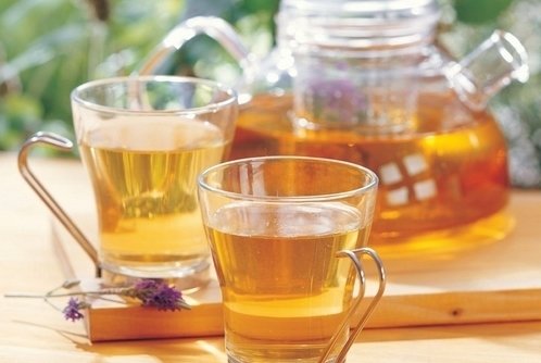 芦荟茶——以假乱真把烟戒