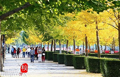 西安邮电大学景色怡人四季分明